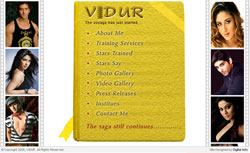 Vidur