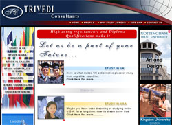 Trivedi Consultants